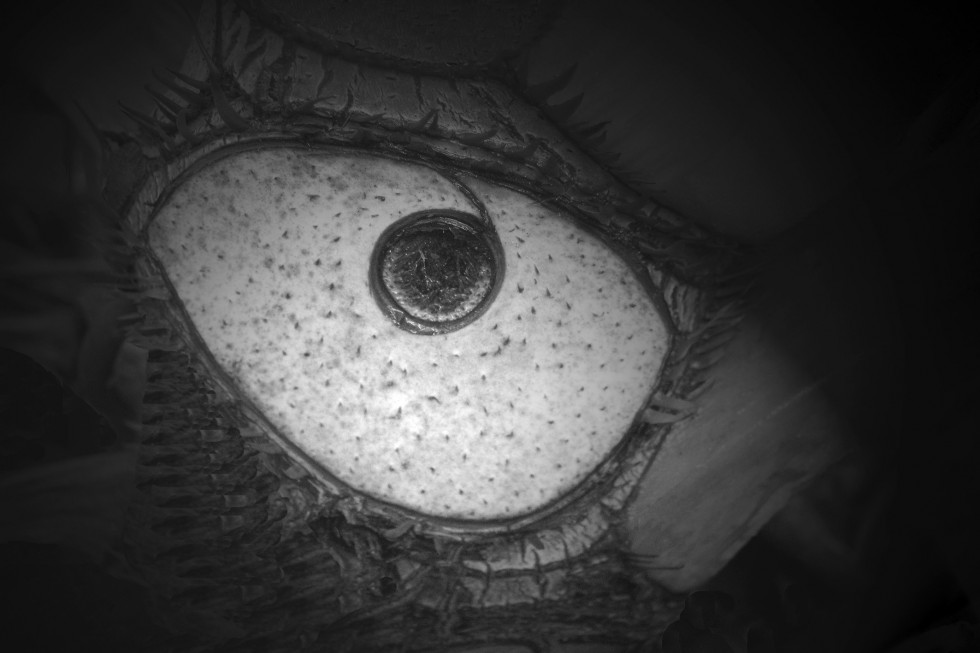 "El ojo" de Mara Griselda Garca Cuerva