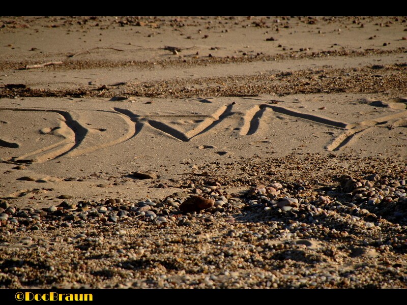 "mensaje en la playa" de Juan Jos Braun