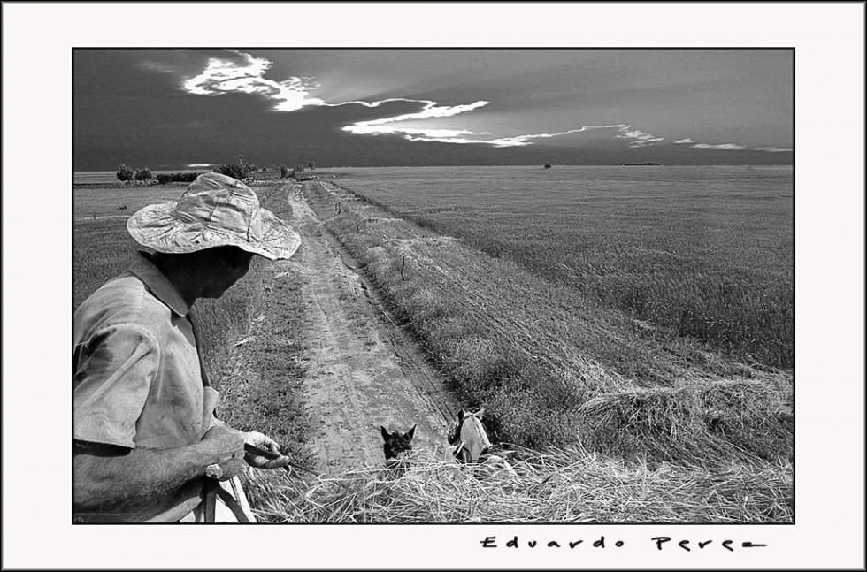 "Hombre, Sol y Trigo" de Eduardo Perez