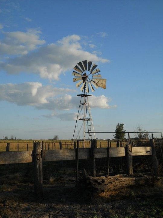 "da de campo" de Andrea Boccio