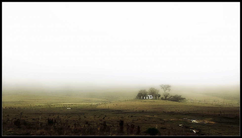 "Maana de niebla (2b)" de Arturo Rey