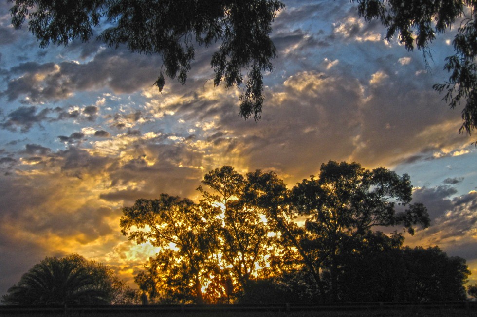 "Atardecer en el parque" de Mara Griselda Garca Cuerva