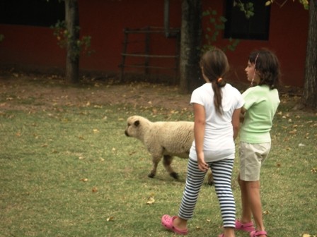 "amigas charlando" de Amparo Josefina Maggi