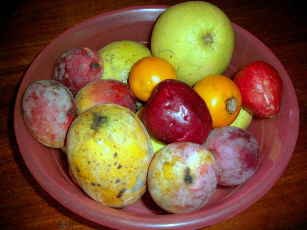 "Frutas" de Nancy Josefina Rivero