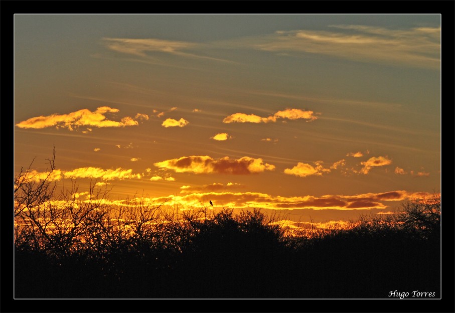 "Atardecer en Hucal..." de Hugo Carlos Torres