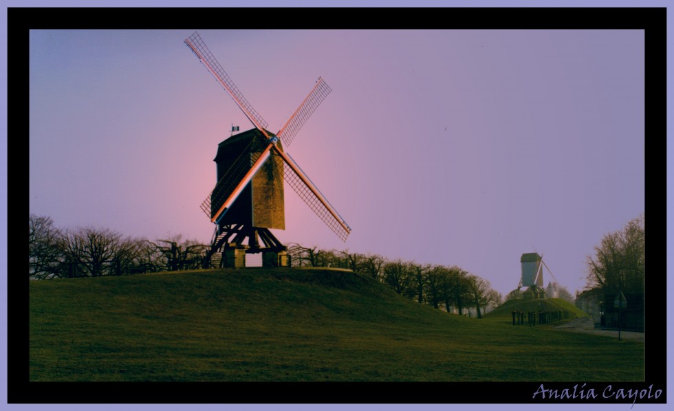 "Esperando al Quijote..." de Anala Cayolo