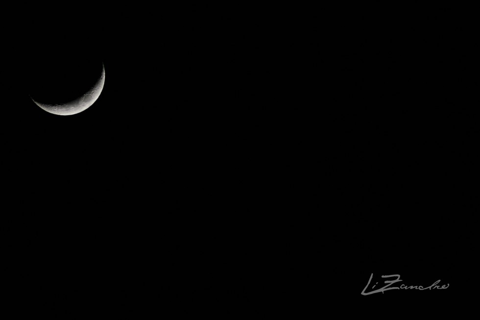 "Lune" de Lizandro Rodriguez Loaiza