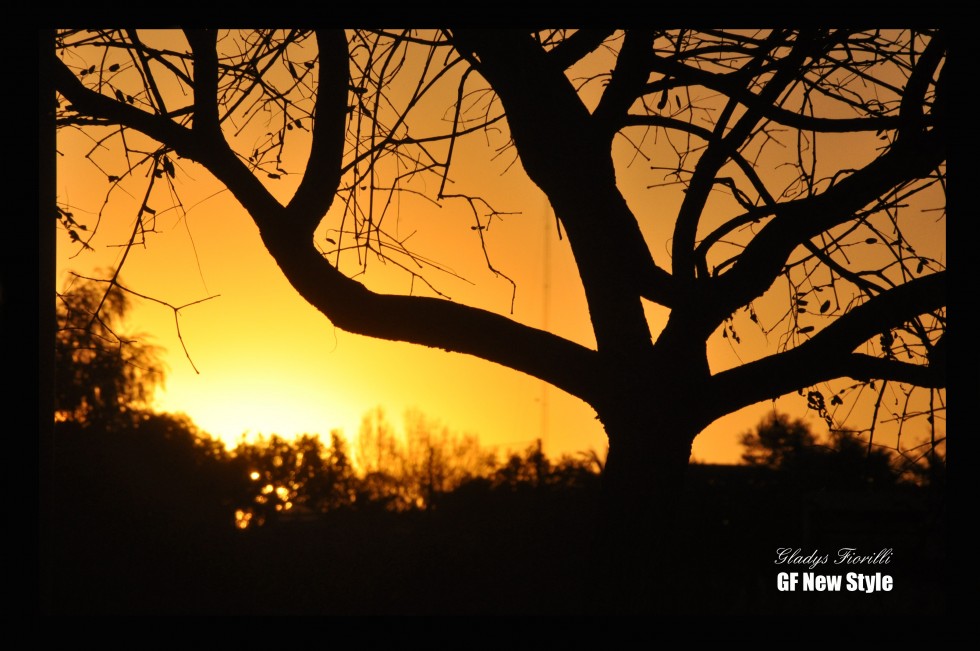 "El ocaso..." de Gladys Susana Fiorilli