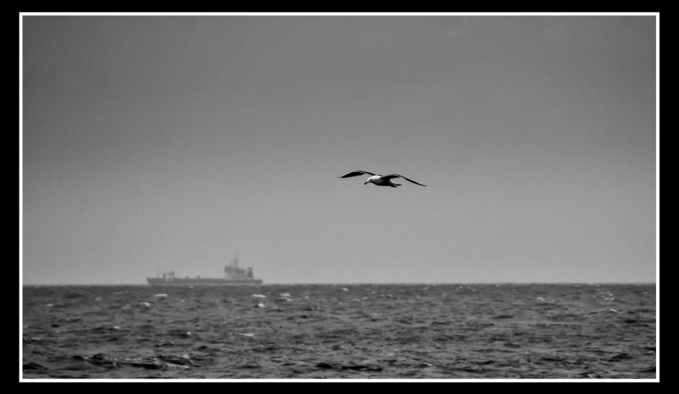 "En vuelo" de Hugo Lorenzo