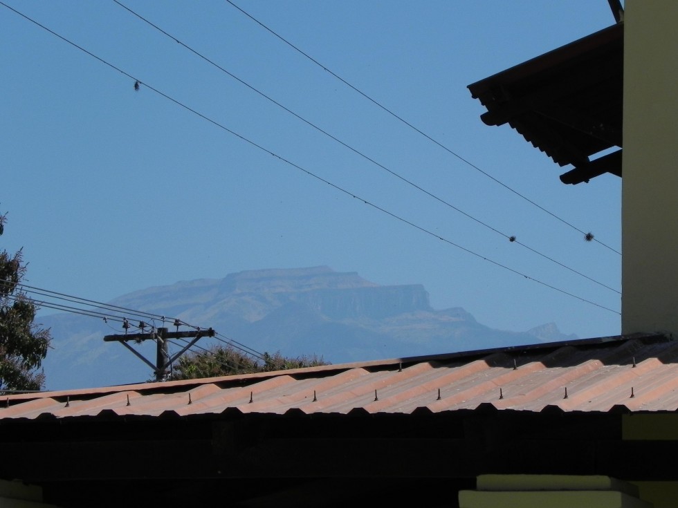 "El Calilegua" de Gastn Guirao