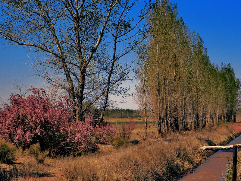 "Junto al canal" de Ricardo Cascio