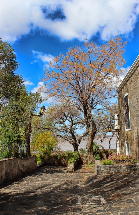 "Rincones soados" de Elizabeth Gutirrez (eligut)