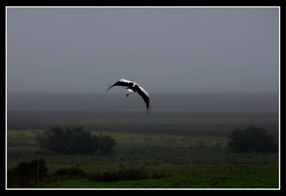 "En vuelo" de Hugo Lorenzo