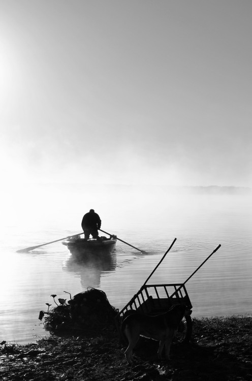 "Pescador" de Pablo Rojas