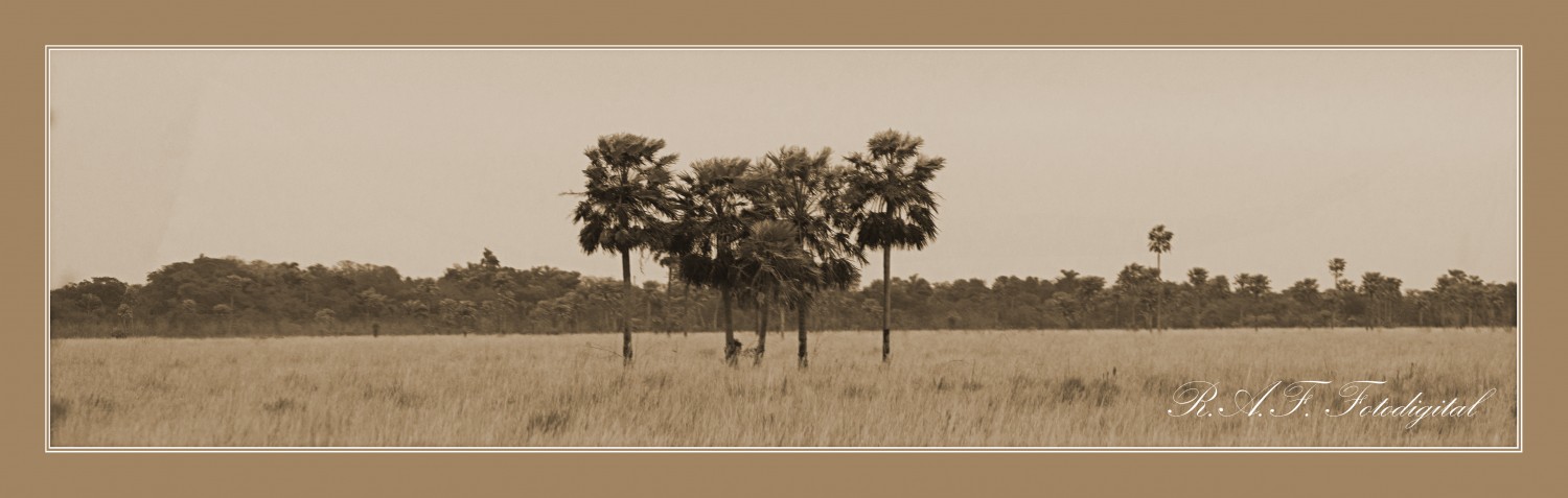 "EL ESTERO" de Rosana Fabiana Andrada