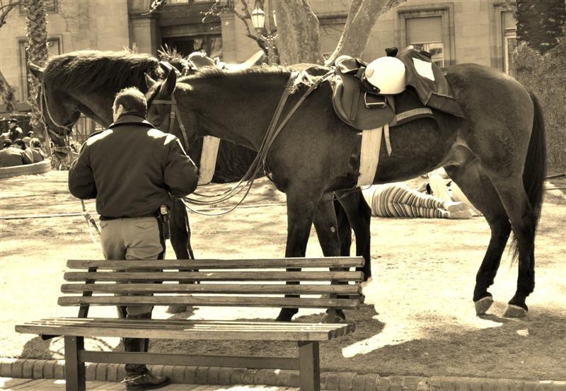 "Catorce patas y un casco" de Javier Gambeta