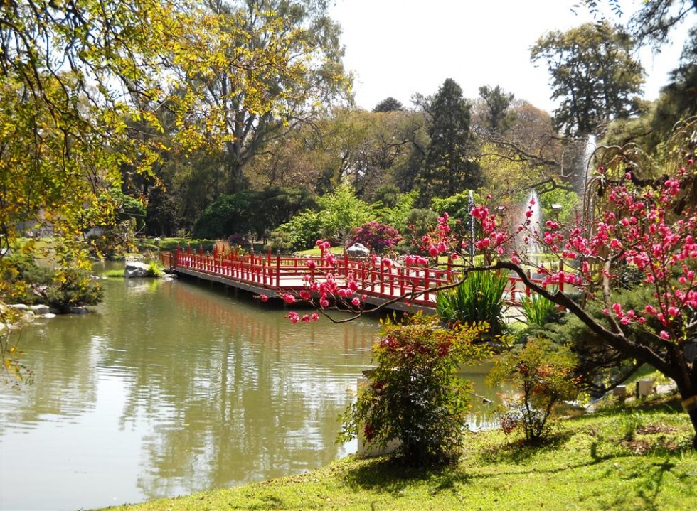 "Jardn,una versin ms." de Beatriz Benger