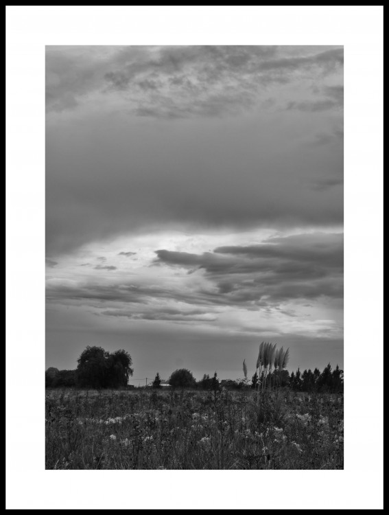 "Junto al cielo" de Analia Coccolo