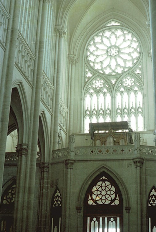 "interior de la catedral" de Ricardo Clodomiro Torres