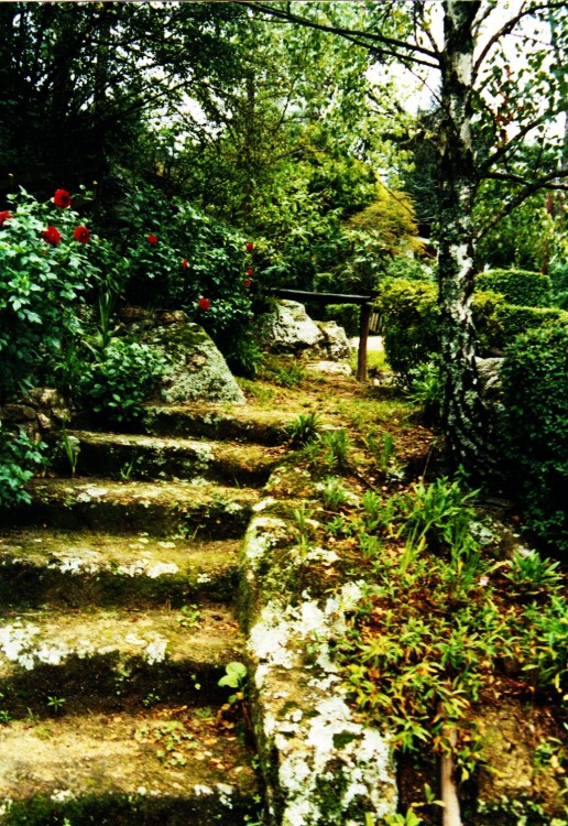 "escalera al cielo" de Leonardo Bertolino