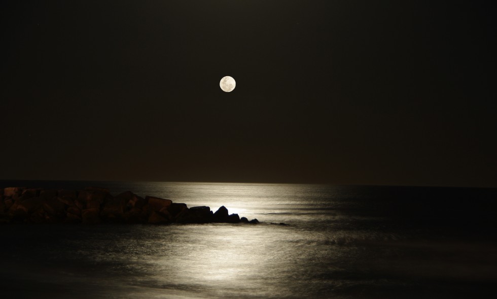 "Playa a la luz de la luna" de Juan Carlos Barilari