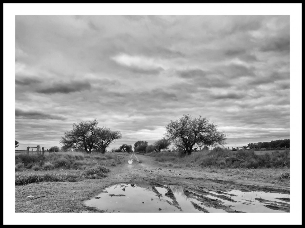 "largo camino a casa" de Jose Luis Anania