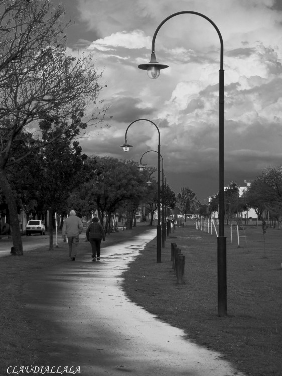 "Donde va la gente cuando llueve?" de Claudia Alejandra Allala