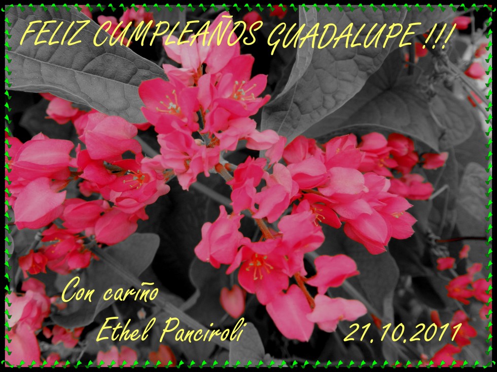 "`Felz cumpleaos`" de Ethel Panciroli