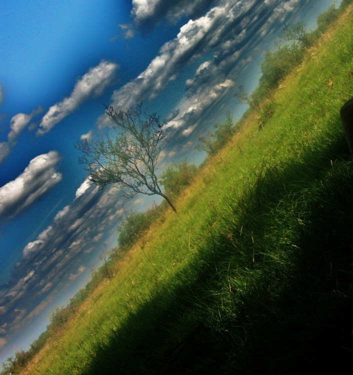 "verde=tierra,azul=cielo" de Simon Medina