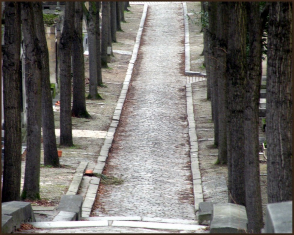 "... caminando por el cementerio" de Rosa Mara Olivn