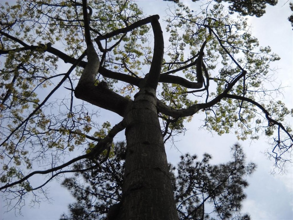 "Abrazando el cielo.`" de Beatriz Benger