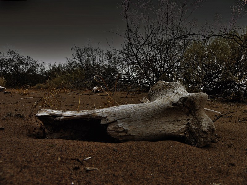 "De muertes y silencios" de Ricardo Cascio