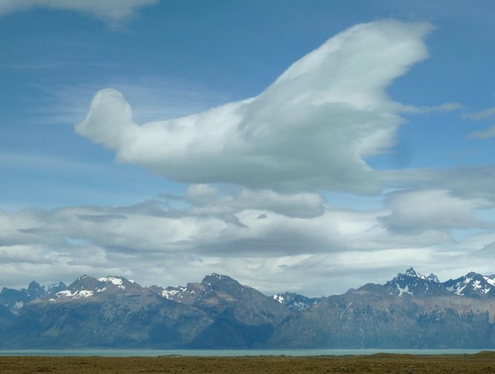 "ave de nube" de Nahuel Cordoba