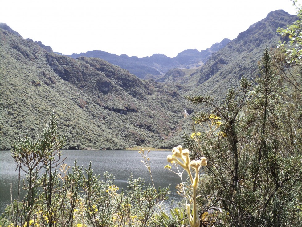 "Laguna negra" de Piero Francesa