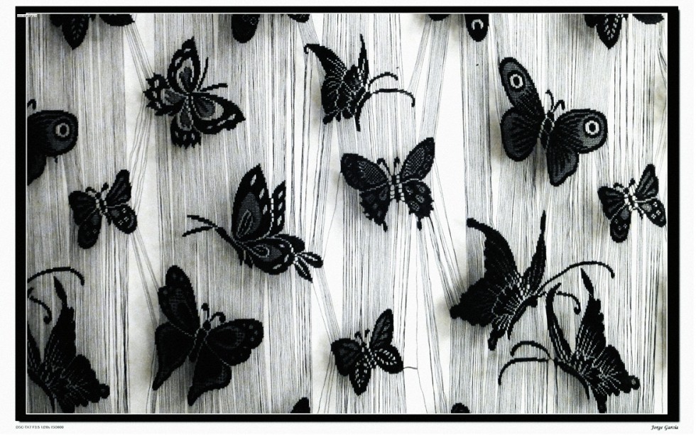 "giss butterfly" de Jorge Garcia