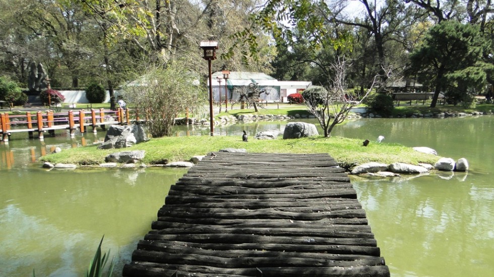 "el puente" de Amparo Josefina Maggi