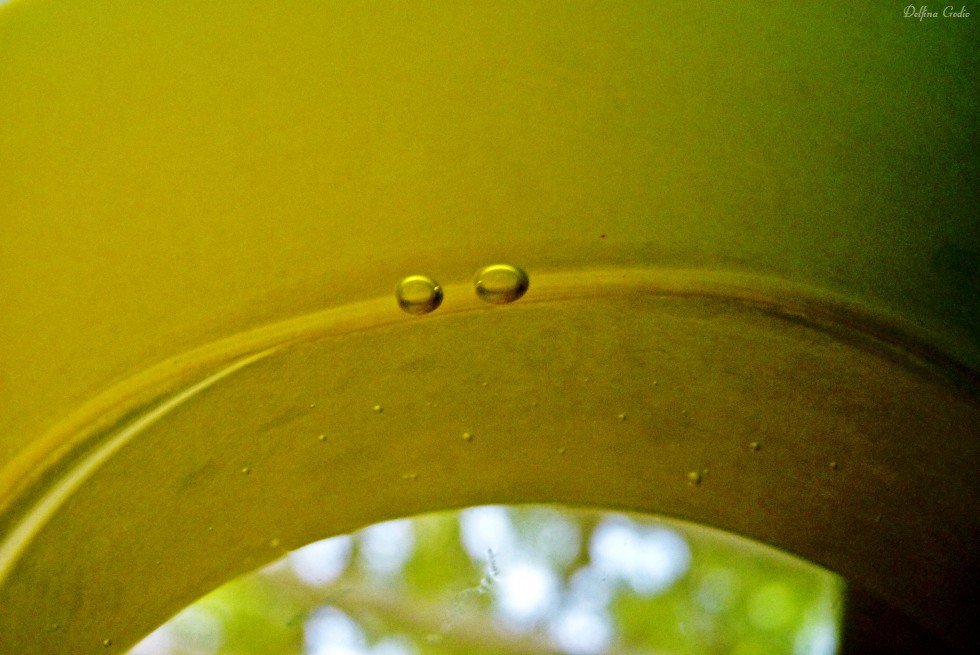"Dos burbujas y un reflejo que se ahogan en un vaso" de Delfina Godio