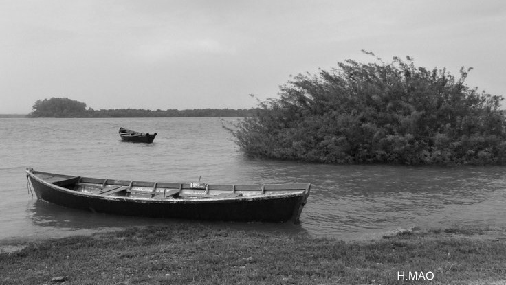 "sobre la canoa" de Hector Mao