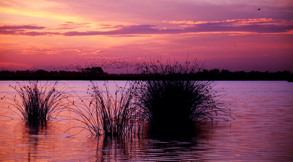 "ocaso en magenta" de Edith Polverini