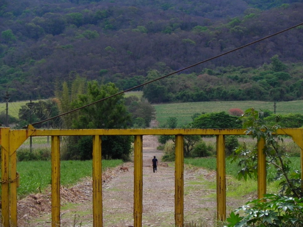 "Sin Ttulo" de Gastn Guirao