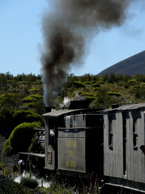 "La trochita" de Juan Carlos Barilari