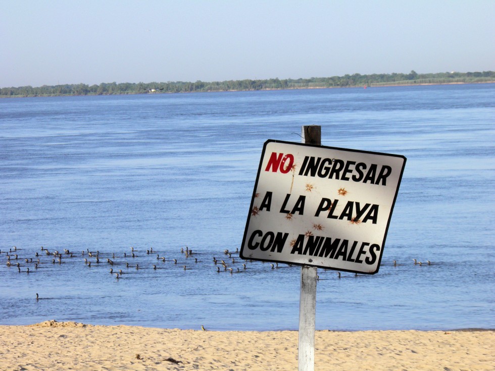 "Animales transgresores" de Diego Cazorla Artieda