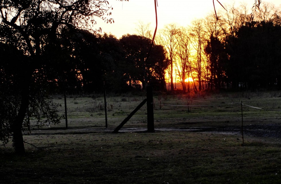 "Cuando entra el sol" de Ricardo Lagrange