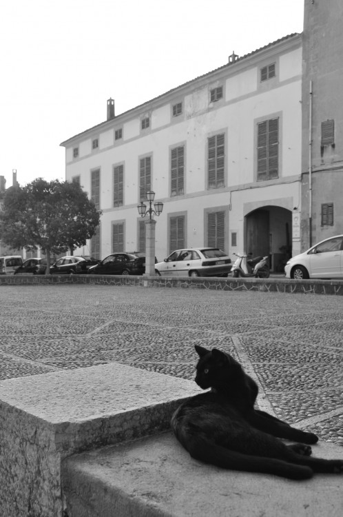 "Embrujando La Plaza..." de Carmen Esteban