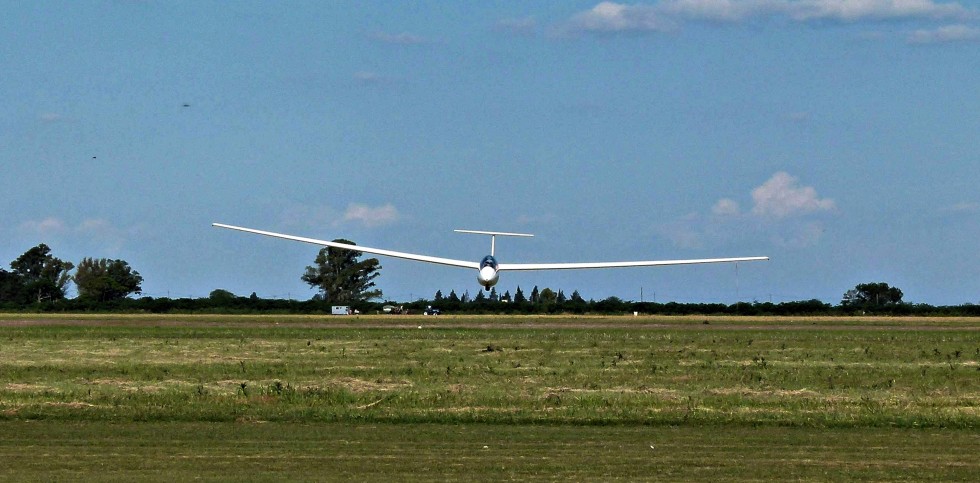 "Volando bajito !!!!!" de Carlos Dichiara