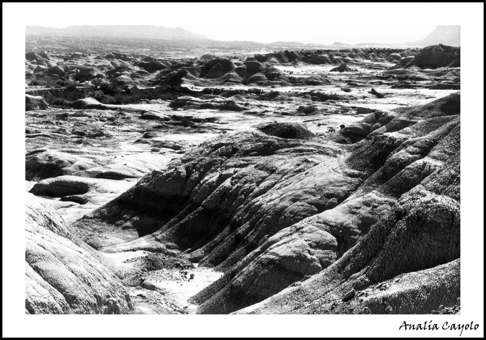 "Paisaje lunar" de Anala Cayolo