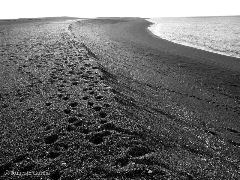 "Peninsula Valdes 2011" de Roberto Garcia