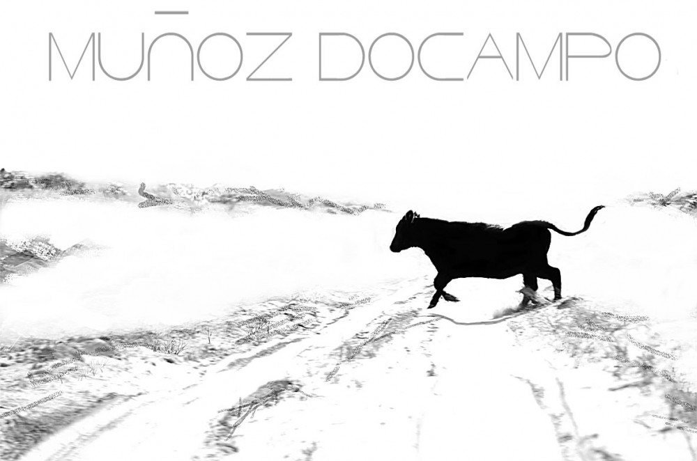 "El toro" de Fabin Muoz Docampo