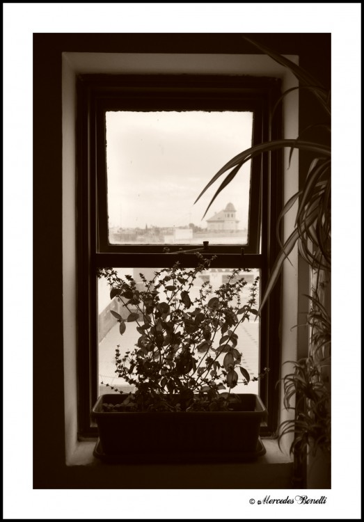 "MI ventana...." de Mercedes Bonetti