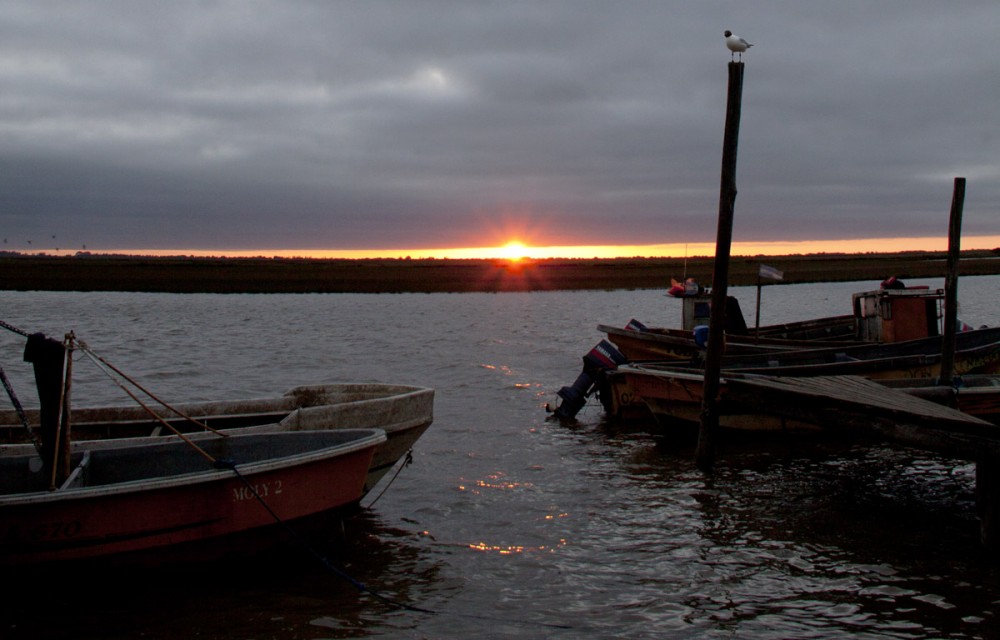 "ocaso portuario" de Edith Polverini